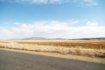   in south africa  land bush       and  grass