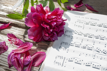Alte Musiknoten mit Pfingstrose, Paeonia, Pfingsten, Ostern 
