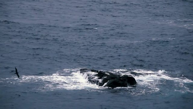 Wellen brechen &uuml;ber einem Stein im Atlantik