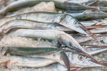  in oman market   fish