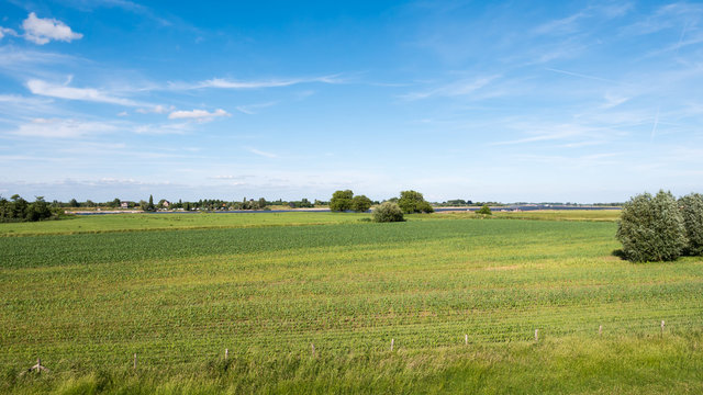 Forelands of Waal river in Bommelerwaard, Netherlands
