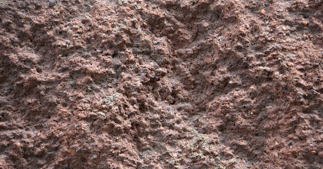 Surface of a cement wall mixed with gravel. Texture photography.