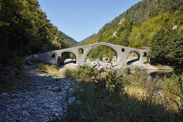Fototapeta na wymiar Amazing Reflection of Devil's Bridge in Arda river, Kardzhali Region, Bulgaria