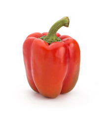 Red pepper on a white background