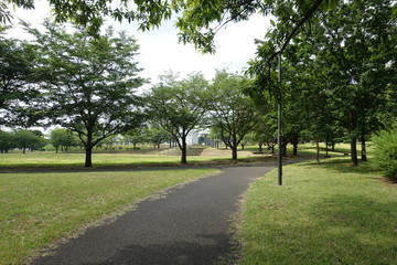 散歩道