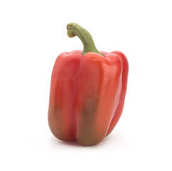 Red pepper on a white background