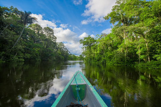 Travelling by boat into the depth of Amazon Jungles in Cuyabeno National Park, Ecuador