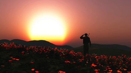 3D soldier saluting in a field of poppies