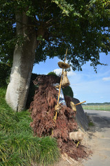 日本の伝説の巨人だいだらぼっち　の石岡大人形