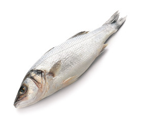 Fresh raw fish on white background
