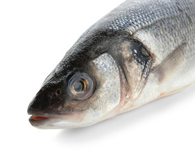 Fresh raw fish on white background, closeup