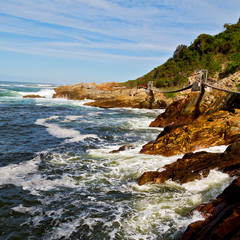   in south africa   sky  ocean     reserve