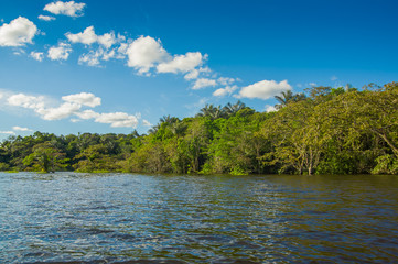 Cuyabeno river, rainforest, terrain of Siona indigenous people. Transport by the river by motorboats, great place to visit, jungle, lots of animals. in Cuyabeno National Park, in Ecuador