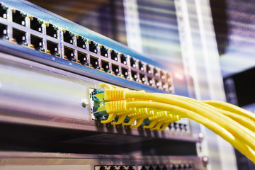 network cables connected to switch hub