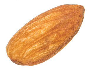close up shot of almond on white background