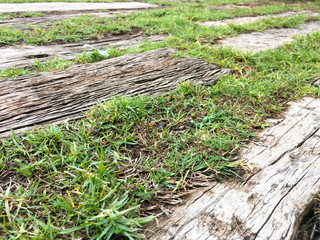 wallpaper from wood  and grass