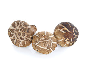 healthy mushroom on white background