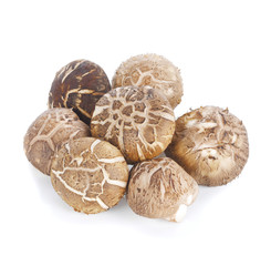 healthy mushroom on white background