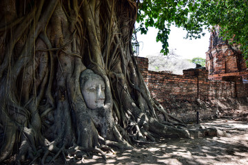Temple Wat Maha That