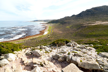 Fototapeta na wymiar in south africa coastline and natural park reserve