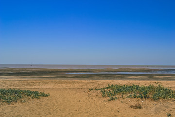 Dark Sand Beach