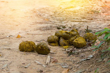 Golden water bokeh in sunset.

