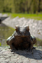 Bronze frog, park landscape decoration, close up