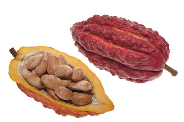 Cocoa - raw fruit to making chocolate
