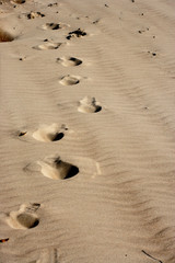 Footprints
