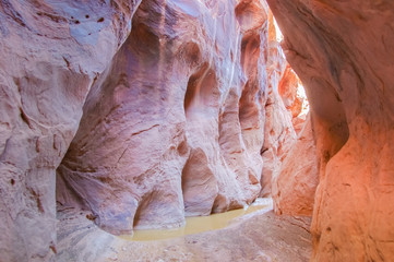 Inside of Buckskin Gulch Slot Canyon. Paria Canyon, Kanab, Utah, USA.