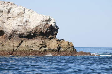 Ocean Rock