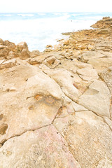   in south    africa   sky ocean   reserve nature