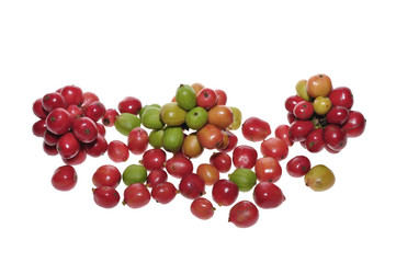 fresh coffee beans on white