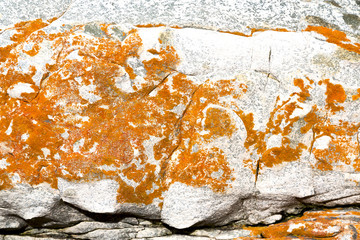  close up of the coastline stone  abstract