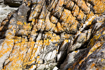 close up of the coastline stone  abstract