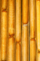  cross bamboo in the temple kho phangan   asia and south