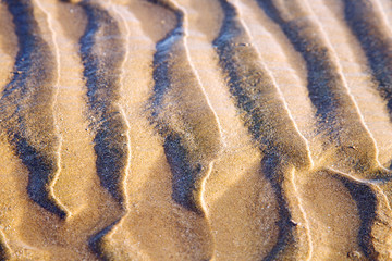 dune   africa brown t sand beach  atlantic ocean