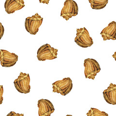 Seamless pattern with brown seashells on white background. Hand drawn watercolor illustration.