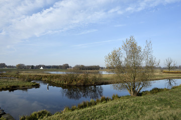 Fototapeta premium Gruene Fluss-Landschaft, Naturschutzgebiet, Steinhorster Becken, Nature landscape with green fields and water