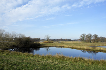Gruene Fluss-Landschaft, Naturschutzgebiet, Steinhorster Becken, Nature landscape with green fields...