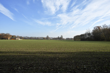 Gruene Landschaft, Nature landscape with green fields