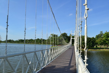 Obraz premium bridge in park