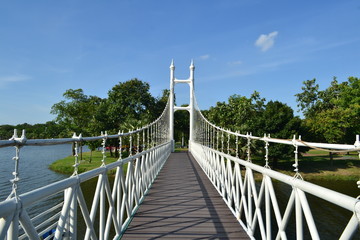 Fototapeta premium bridge in park