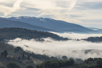 A sea of fog between some hills and some more distant mountains, with a line of trees in the foreground.