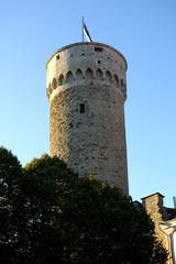 Medieval tower and town wall at Tallinn Estonia