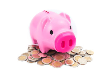 piggy bank on the coin ,concept business financial