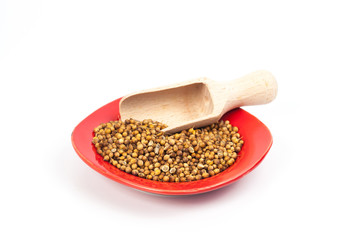 Coriander seed in red dish on white