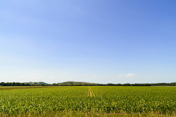 Weite Felder unter strahlend blauen Himmel