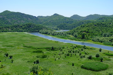 Obraz premium Skadar Lake, Montenegro