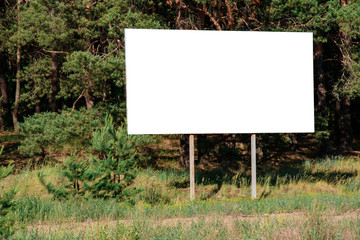 Empty Infortation board in forest